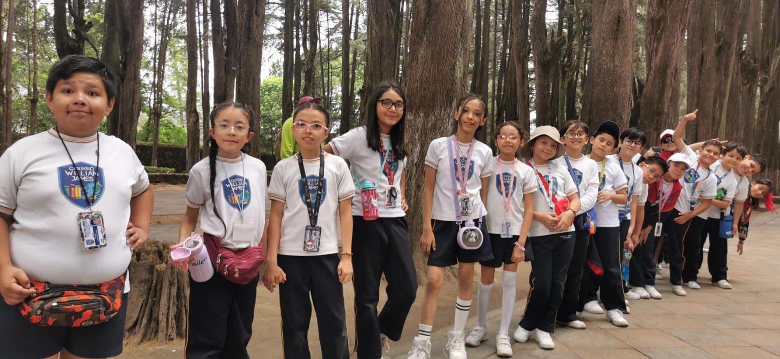 Colegio William James